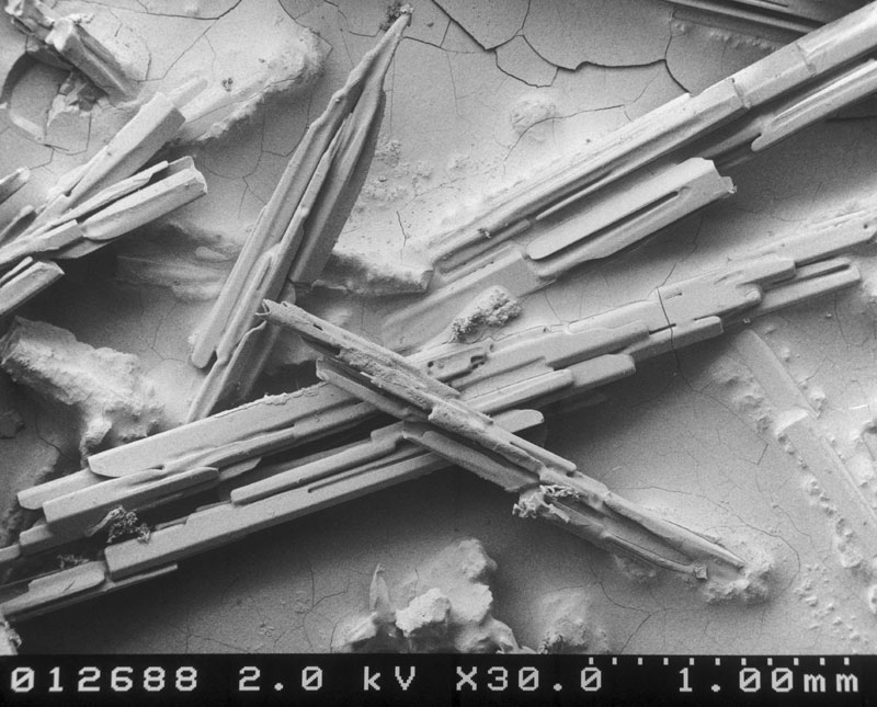 microscopic-snow-crystals-1.jpg
