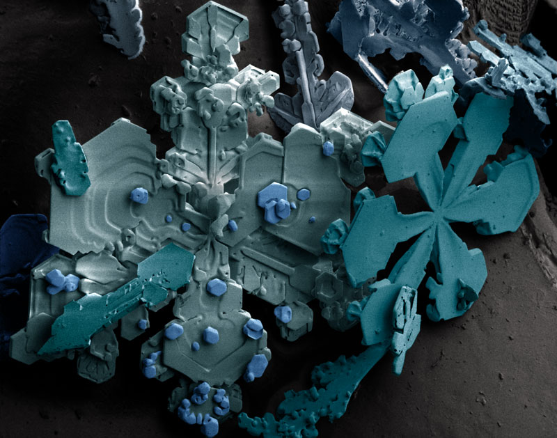 snow_crystals.jpg