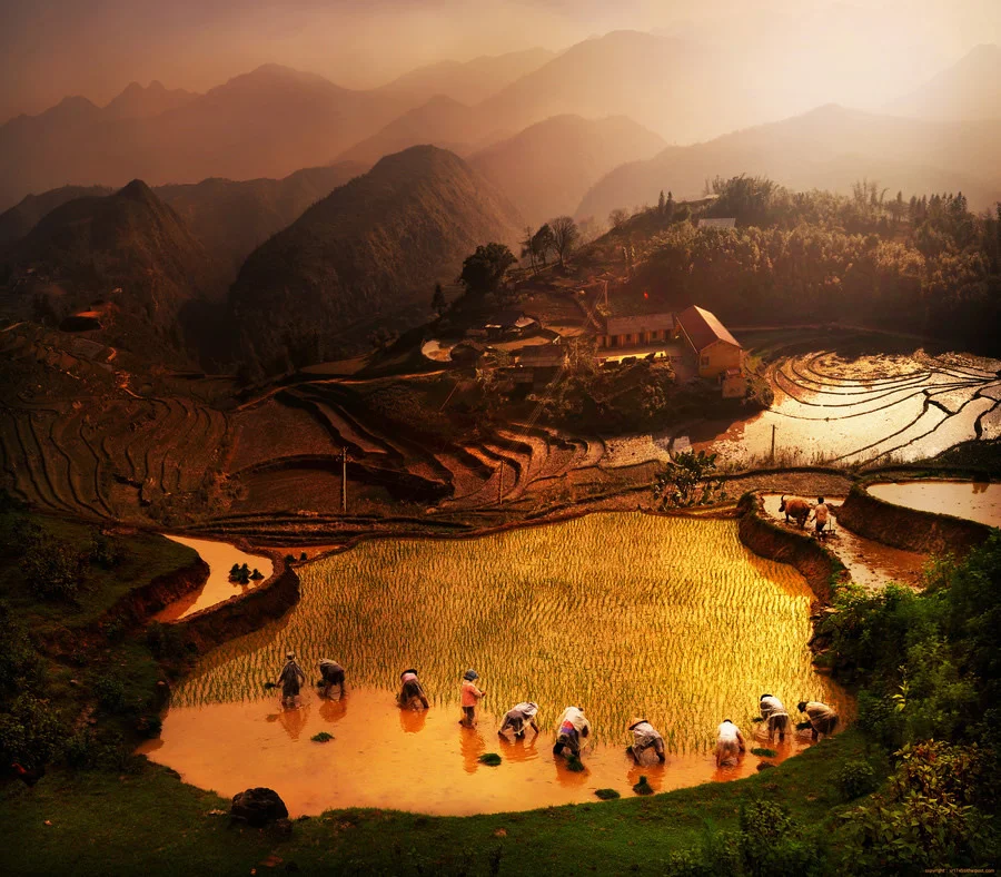 Thai Photographer's Vision