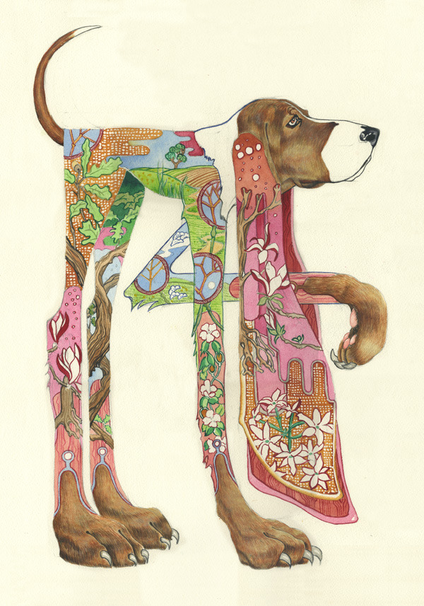 animal-paintings-watercolors-Daniel-Mackie-5.jpg