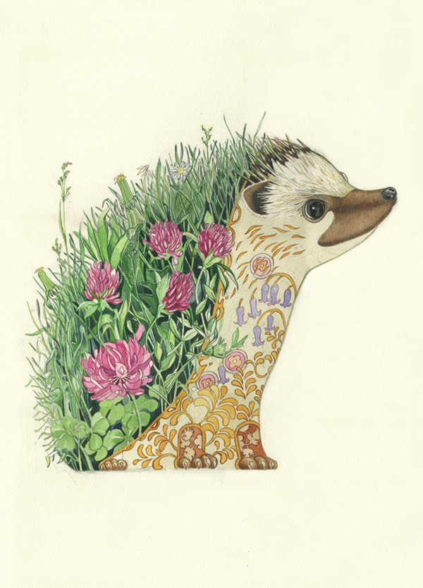 animal-paintings-watercolors-Daniel-Mackie-1.jpg