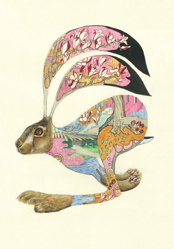 animal-paintings-watercolors-Daniel-Mackie-3.jpg