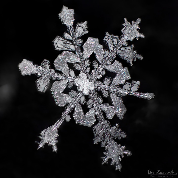 snowflake02.jpg
