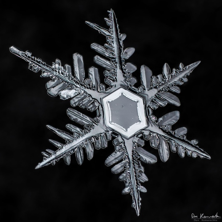 snowflake06.jpg