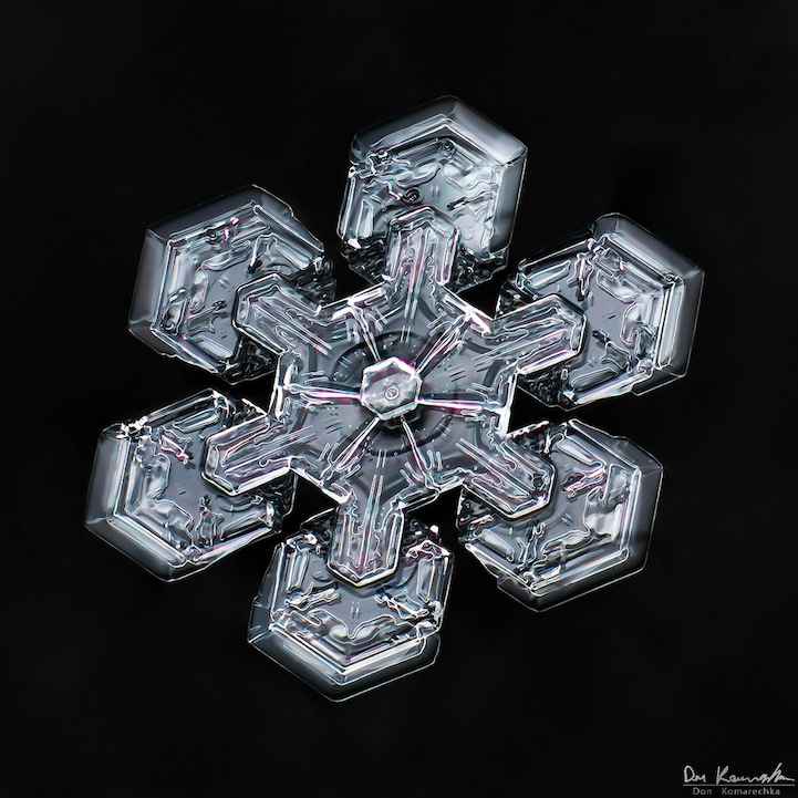 snowflake04.jpg