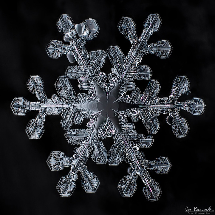 snowflake011.jpg