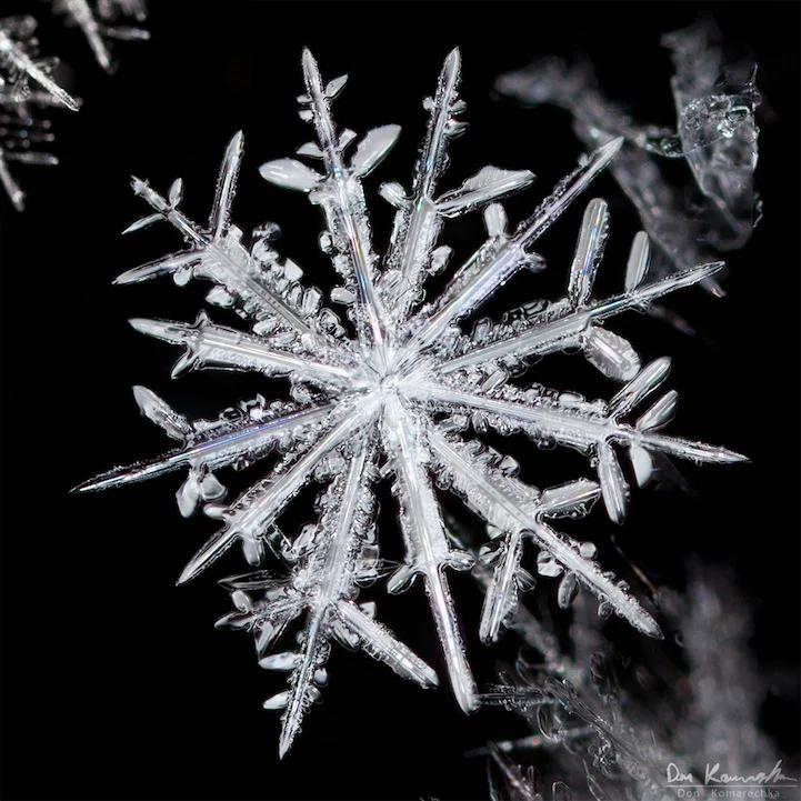 Snowflakes: Clear and Up Close