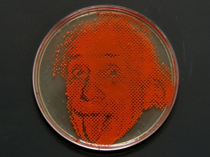 small-einstein-plate.jpg