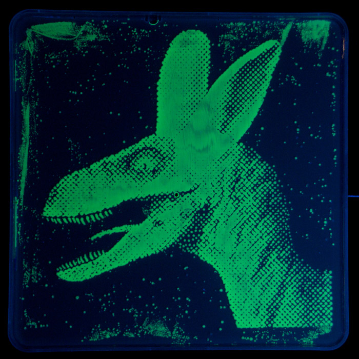 albasaurus-the-worlds-first-dayglo-veleocirabbit.jpg