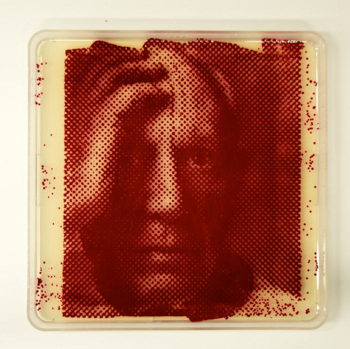 picasso-portrait-bacteria-art.jpg