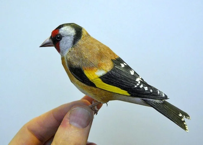 Unbelievable Papercraft Birds
