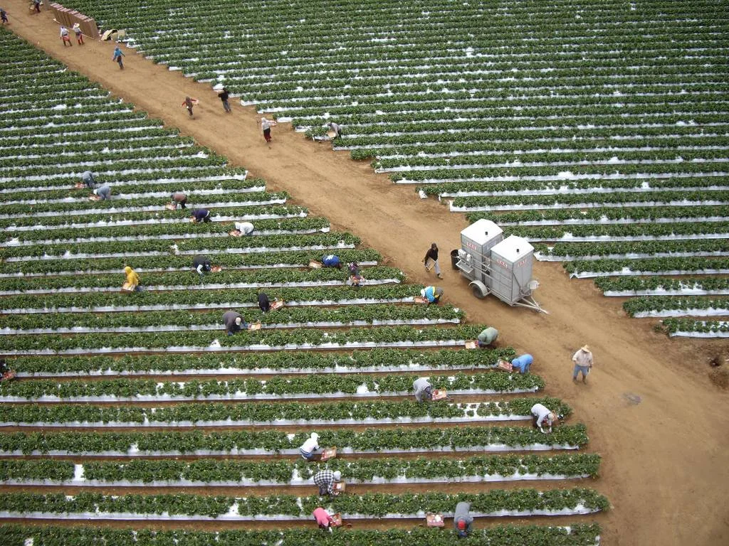 KAP Kite Aerial Photography watsonville california.jpg