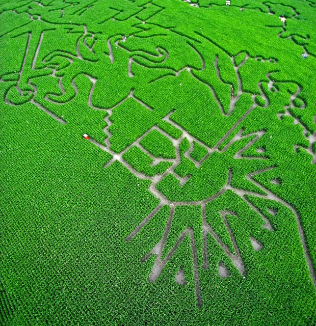 KAP Kite Aerial Photography maze New Zealand.jpg
