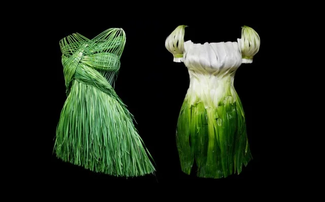 Gorgeous Dresses Made of Food