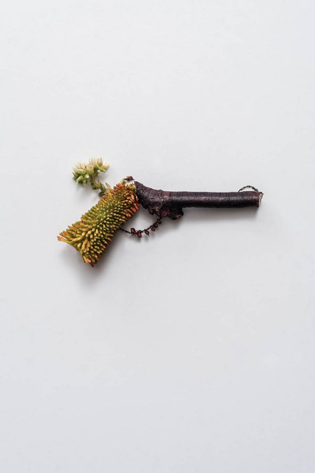 Weapons-made-of-Plants5-640x960.jpg