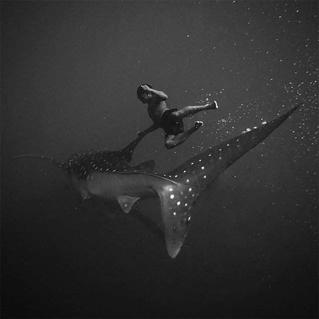 Dynamic Black and White Underwater Photos by Hengki Koentjoro