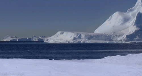 Awesome Animated Nature GIFs