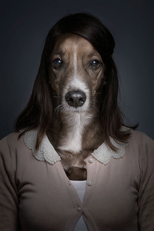 half-human-half-dog-portraits-sebastian-magnani-4-500x750.jpg