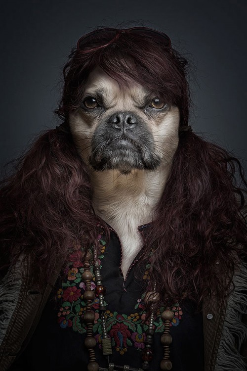 half-human-half-dog-portraits-sebastian-magnani-3-500x750.jpg