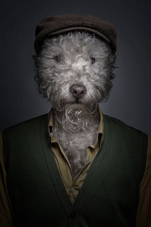 half-human-half-dog-portraits-sebastian-magnani-1-500x750.jpg