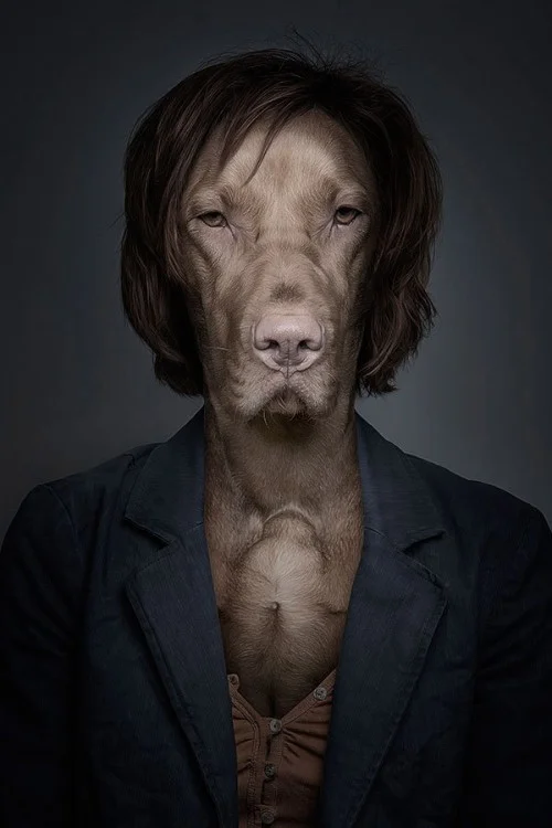 Underdog: Humanized Dog Portraits from Sebastian Magnani