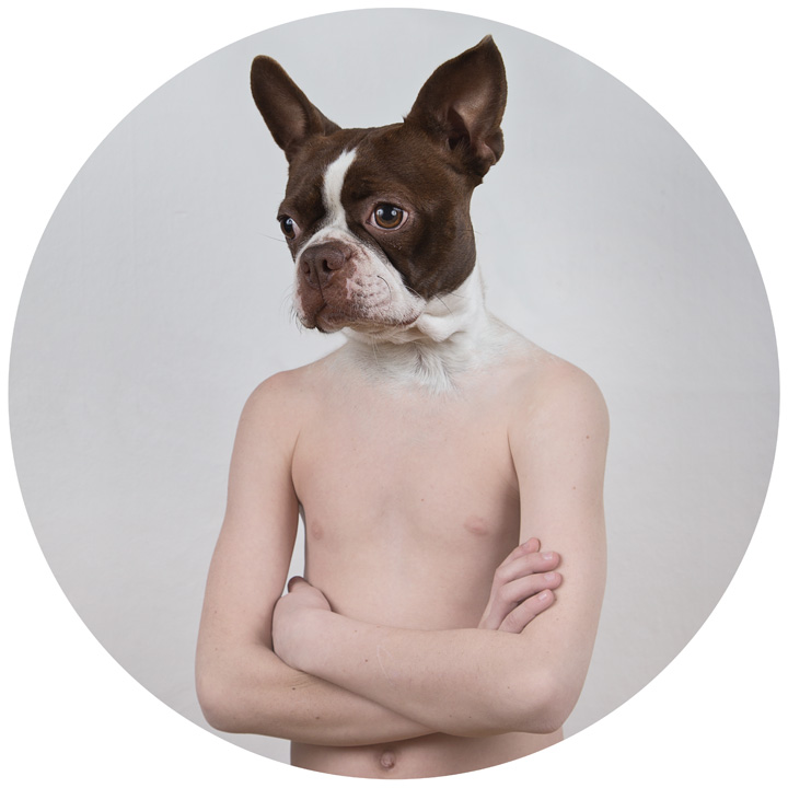 Human Animal Photo Hybrids by Ulric Collette — 5 things I learned today