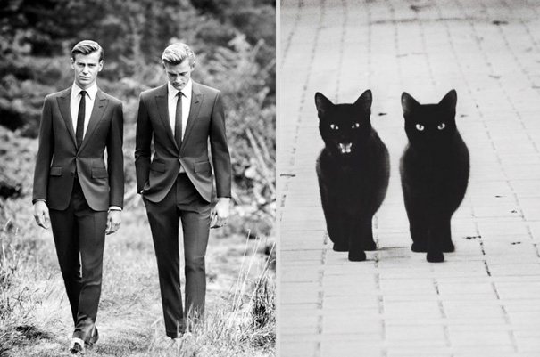 des-hommes-et-des-chatons-men-and-cats-35.jpg