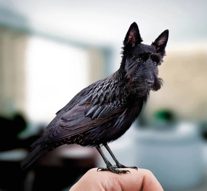 Bird Dogs — 5 things I learned today