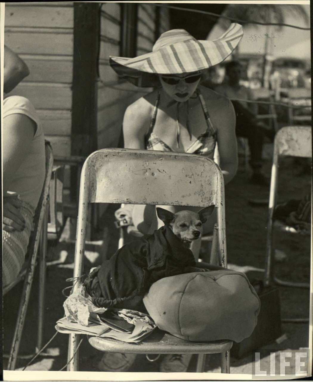 Daily Life of Circus Girls in Sarasota, Florida, ca. 1949 (2).jpeg