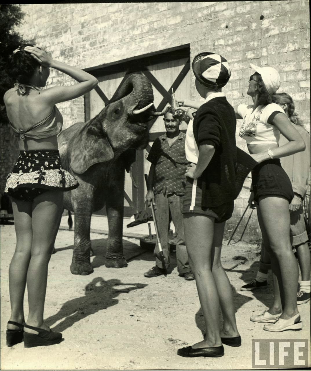 Daily Life of Circus Girls in Sarasota, Florida, ca. 1949 (4).jpeg