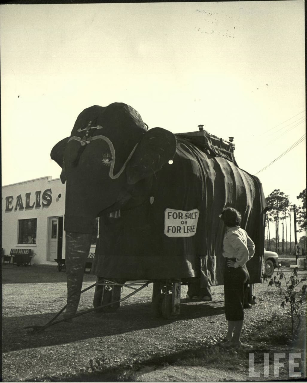 Daily Life of Circus Girls in Sarasota, Florida, ca. 1949 (3).jpg