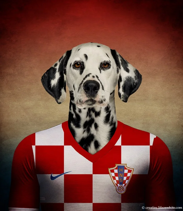 Dogs of the World Cup