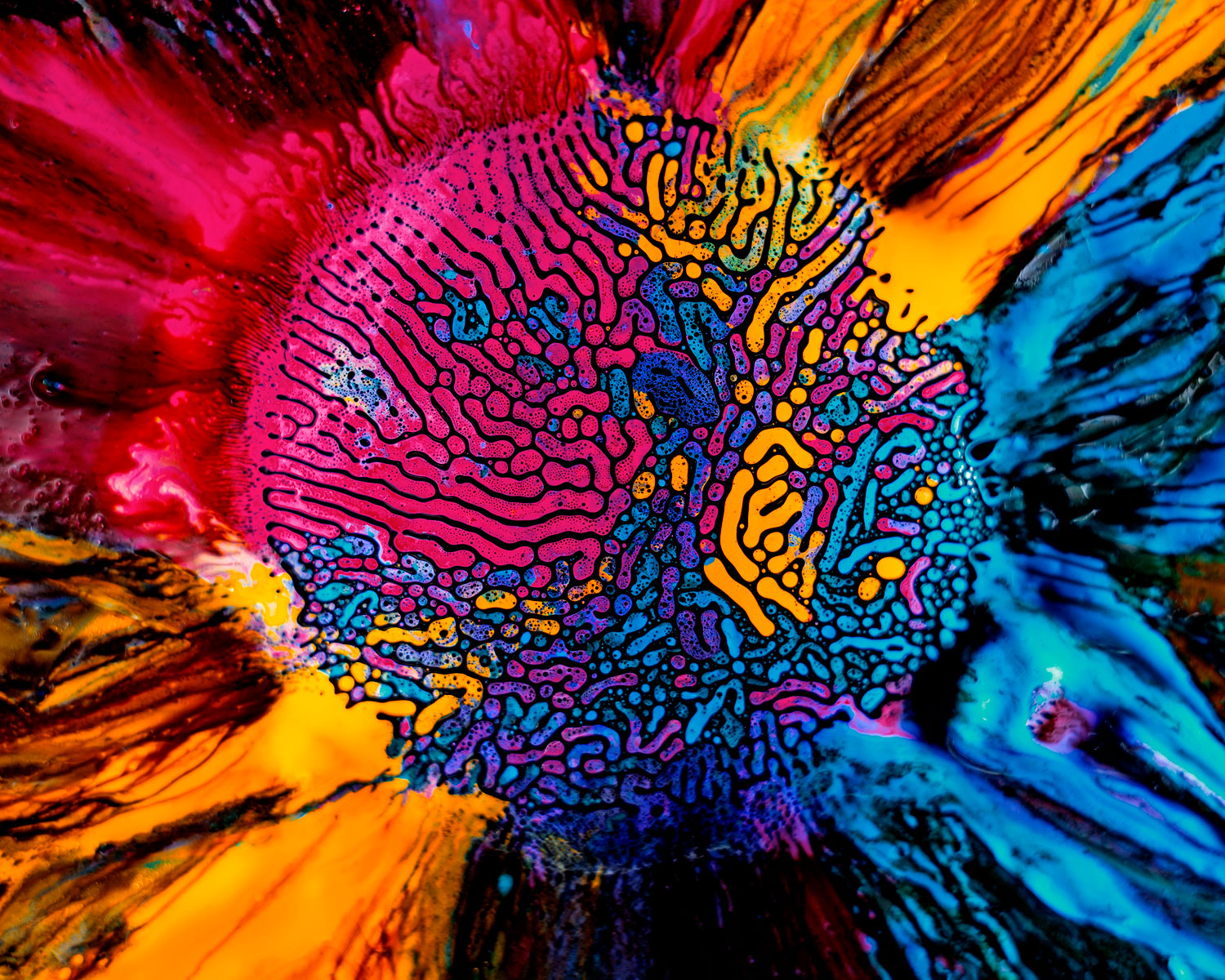 Fabian_Oefner_Millefiori_24.jpg