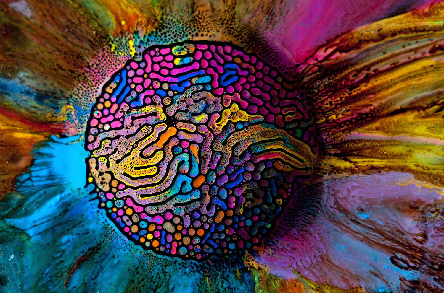 Fabian_Oefner_Millefiori_02.jpg