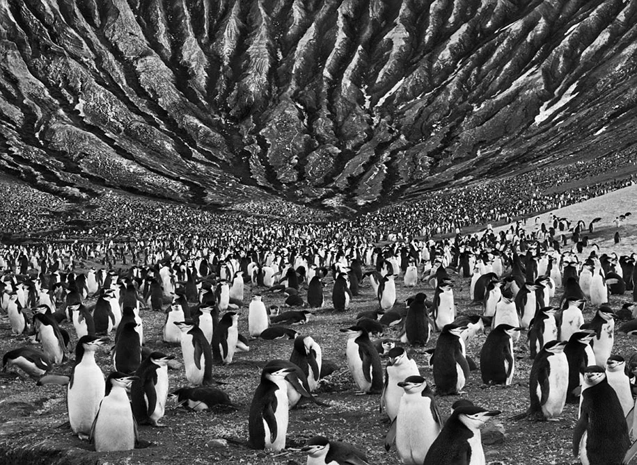 South Sandwich Islands (2009)