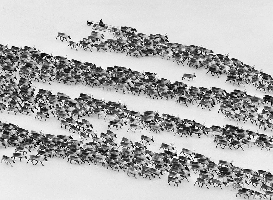 Nenets in the Siberian Arctic, Russia (2011)