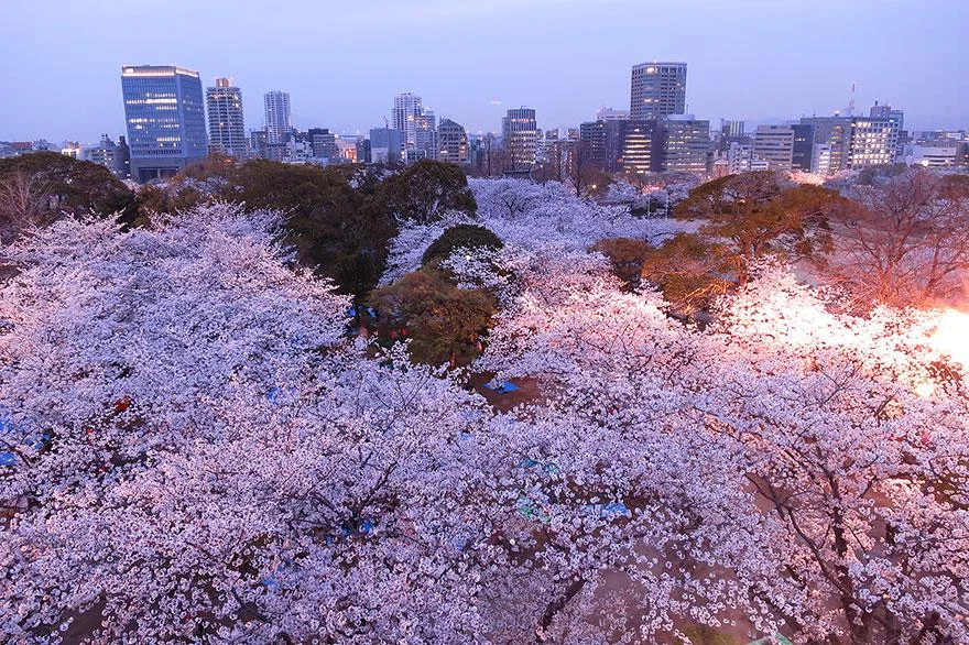 photo credits: tomosang