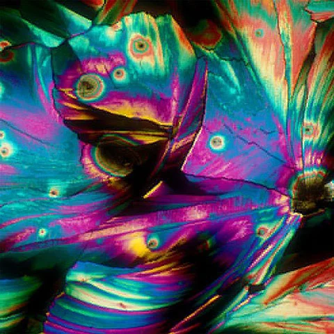 Beverages under a Microscope