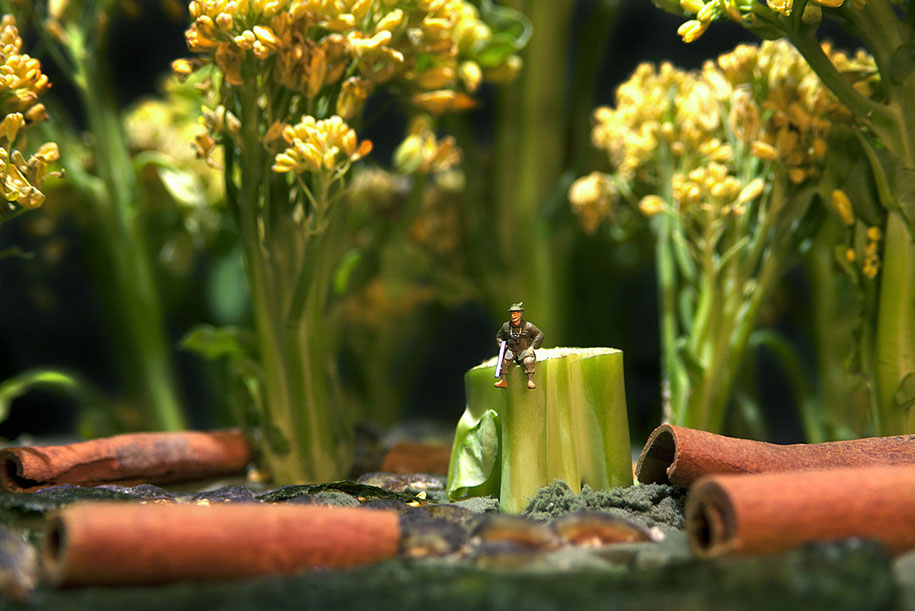 minimize-food-miniature-photography-diorama-william-kass-22.jpg