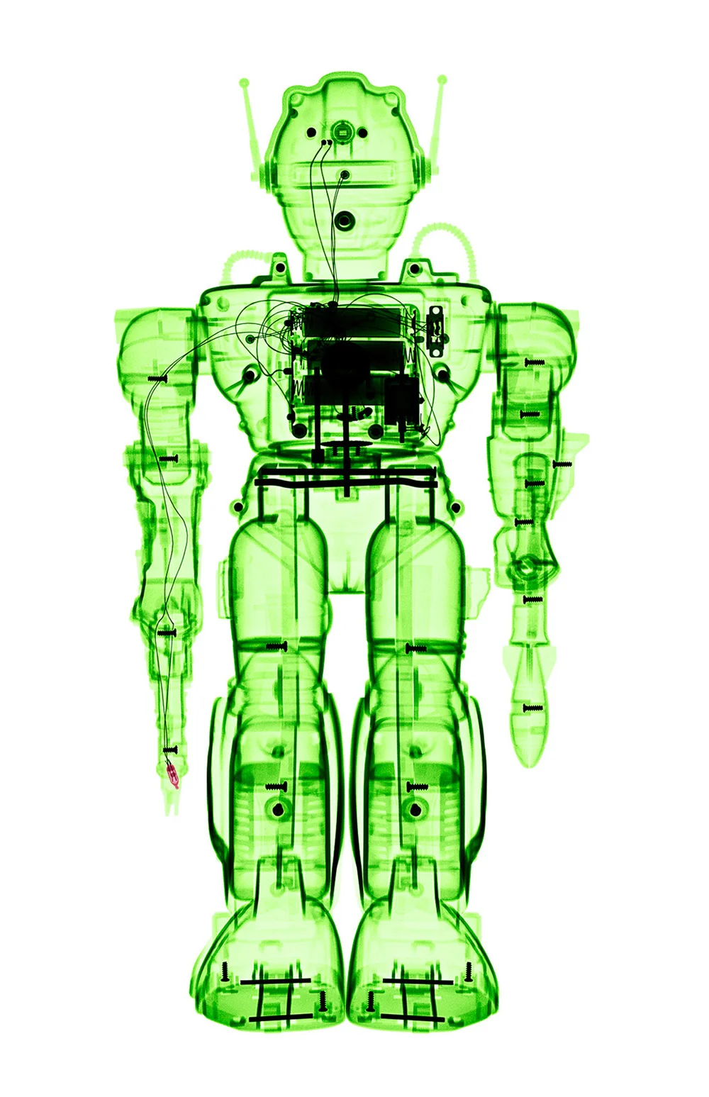 xrays-2.jpg