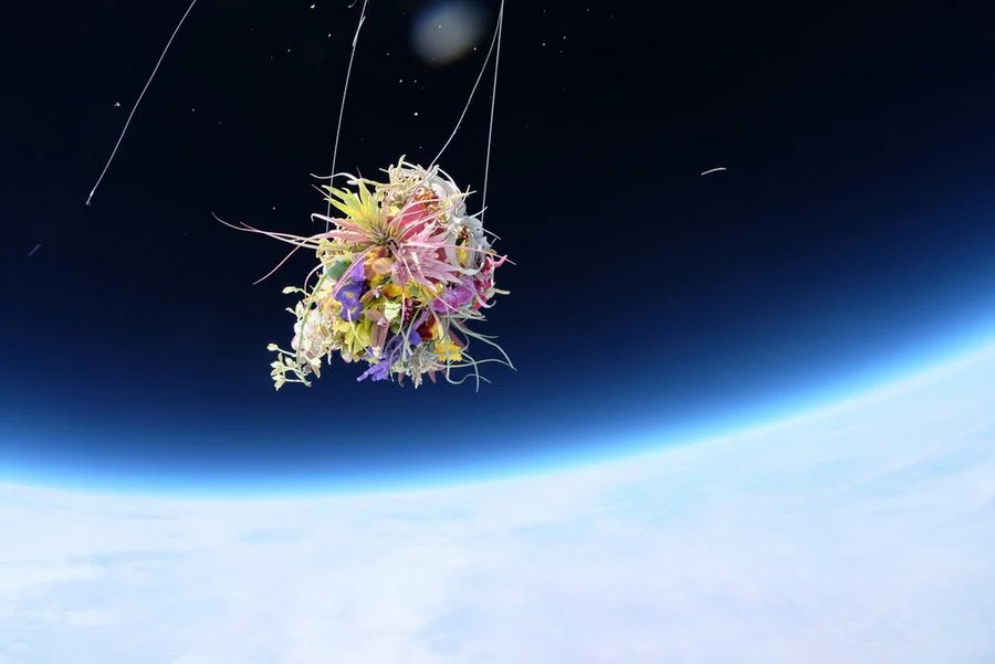 makoto-azuma-EXOBIOTANICA-BOTANICAL-SPACE-FLIGHT-5.jpg