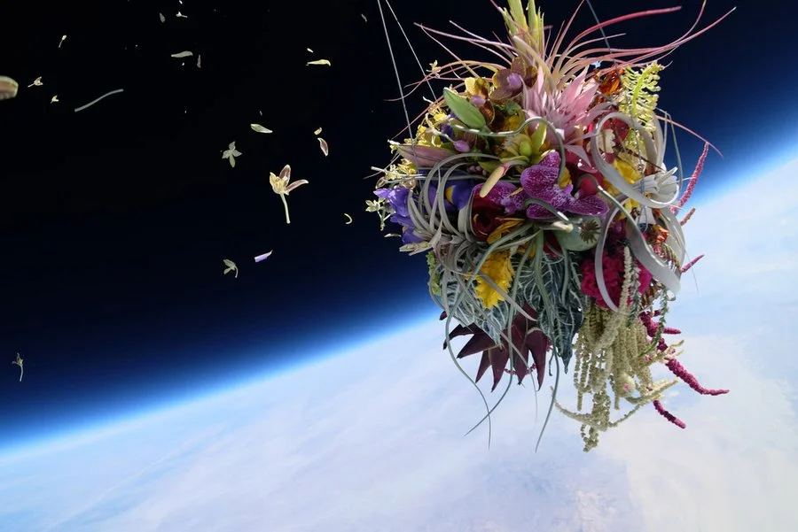 makoto-azuma-EXOBIOTANICA-BOTANICAL-SPACE-FLIGHT-3.jpg