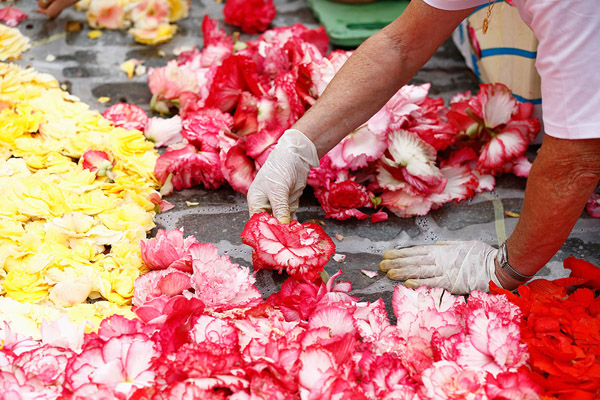 Brussels-Flower-Carpet-2014-7.jpg