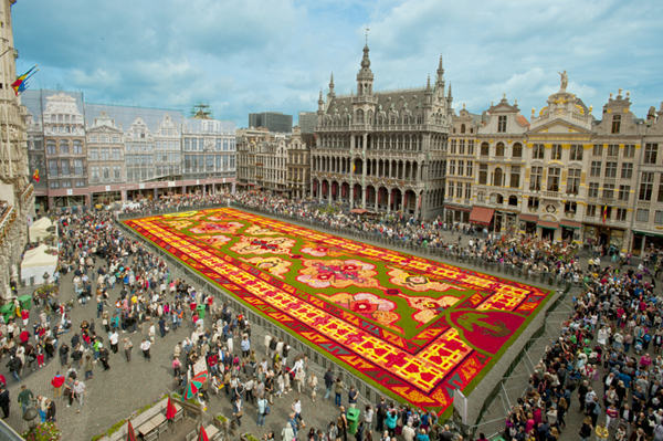 Brussels-Flower-Carpet-2014-5.jpg