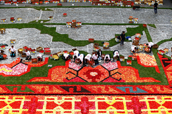 Brussels-Flower-Carpet-2014-4.jpg