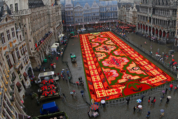 Brussels-Flower-Carpet-2014-1.jpg
