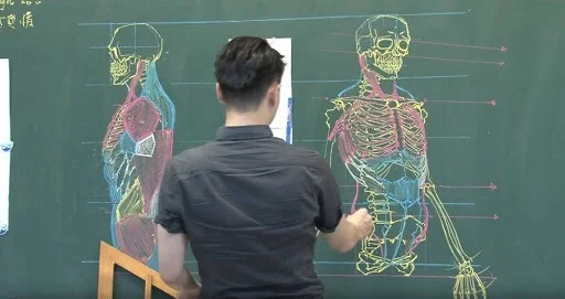 Anatomy Chalkboard Drawings from a Chinese Teacher