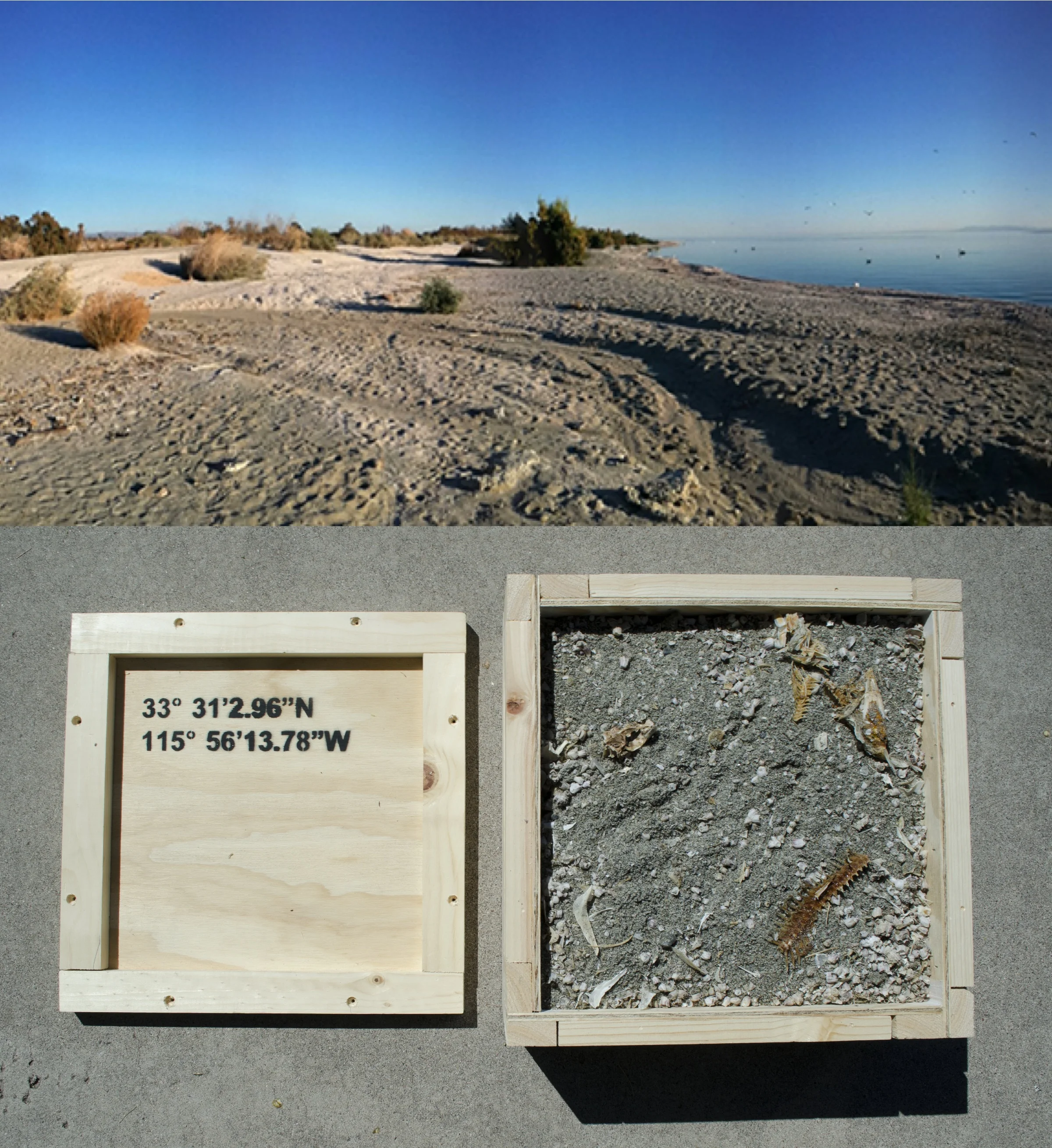 Salton Sea box.jpg