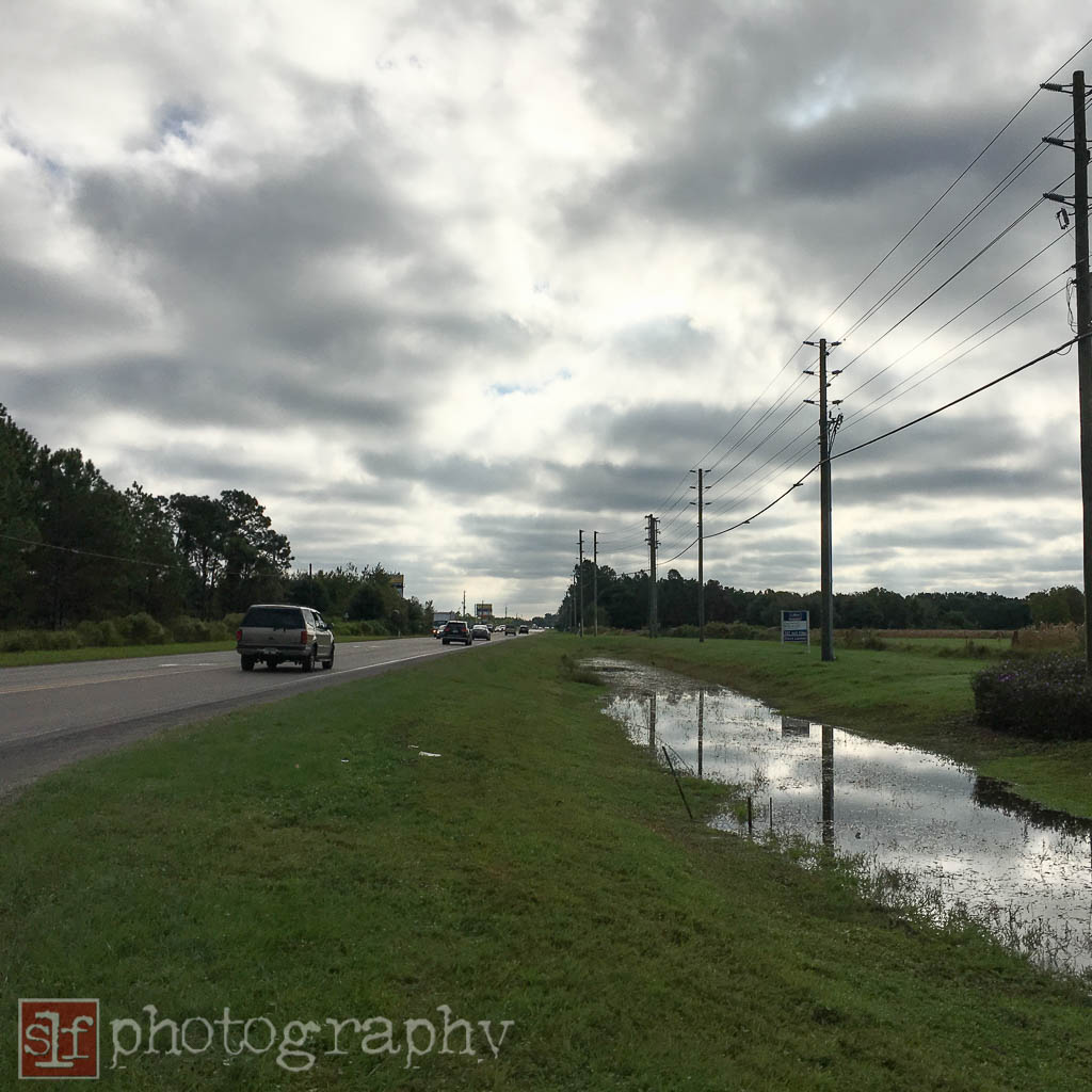 SR54 east at Meadow Pointe Blvd