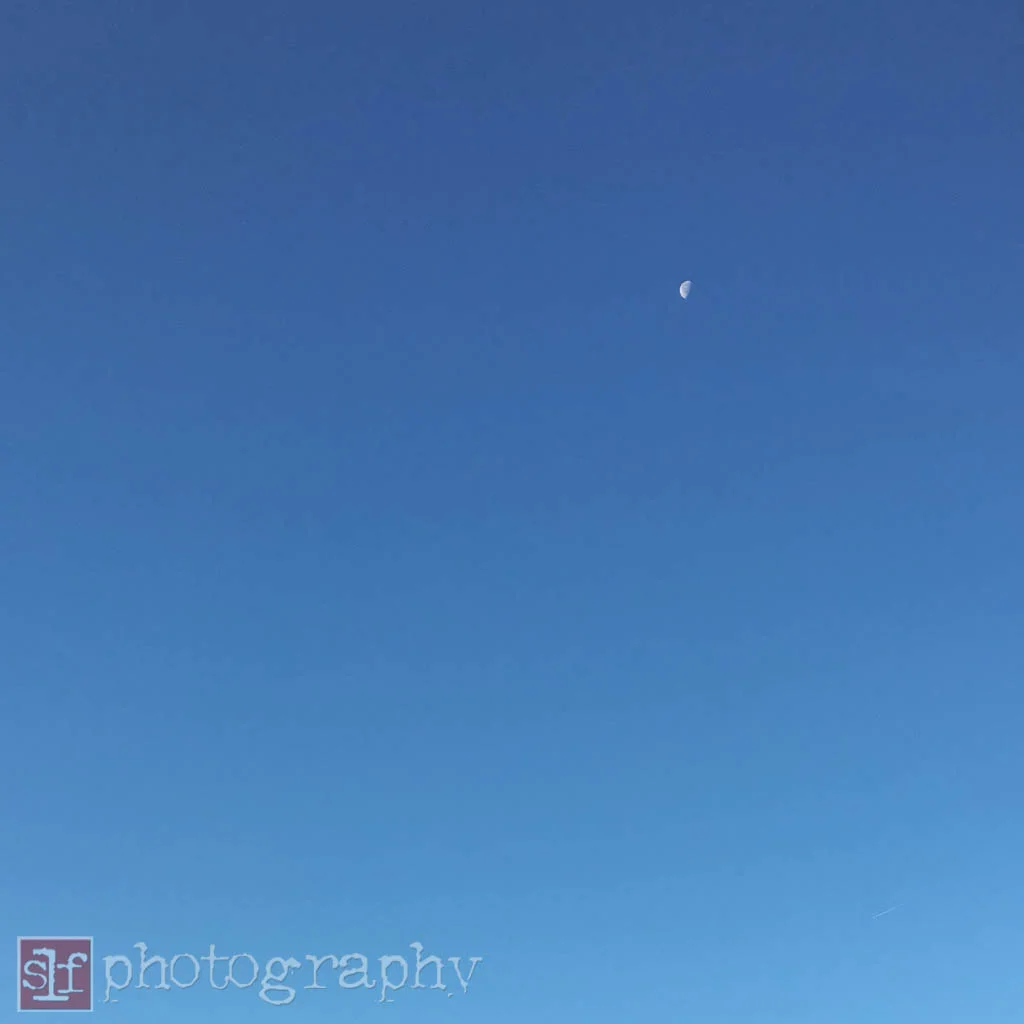 I didn't notice the moon until i was in lightroom.